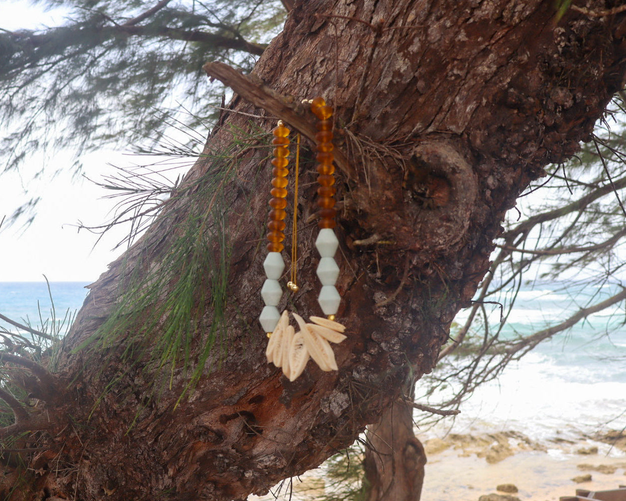 Corales